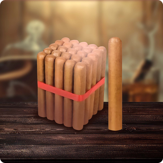 Humidor daytona edition connecticut